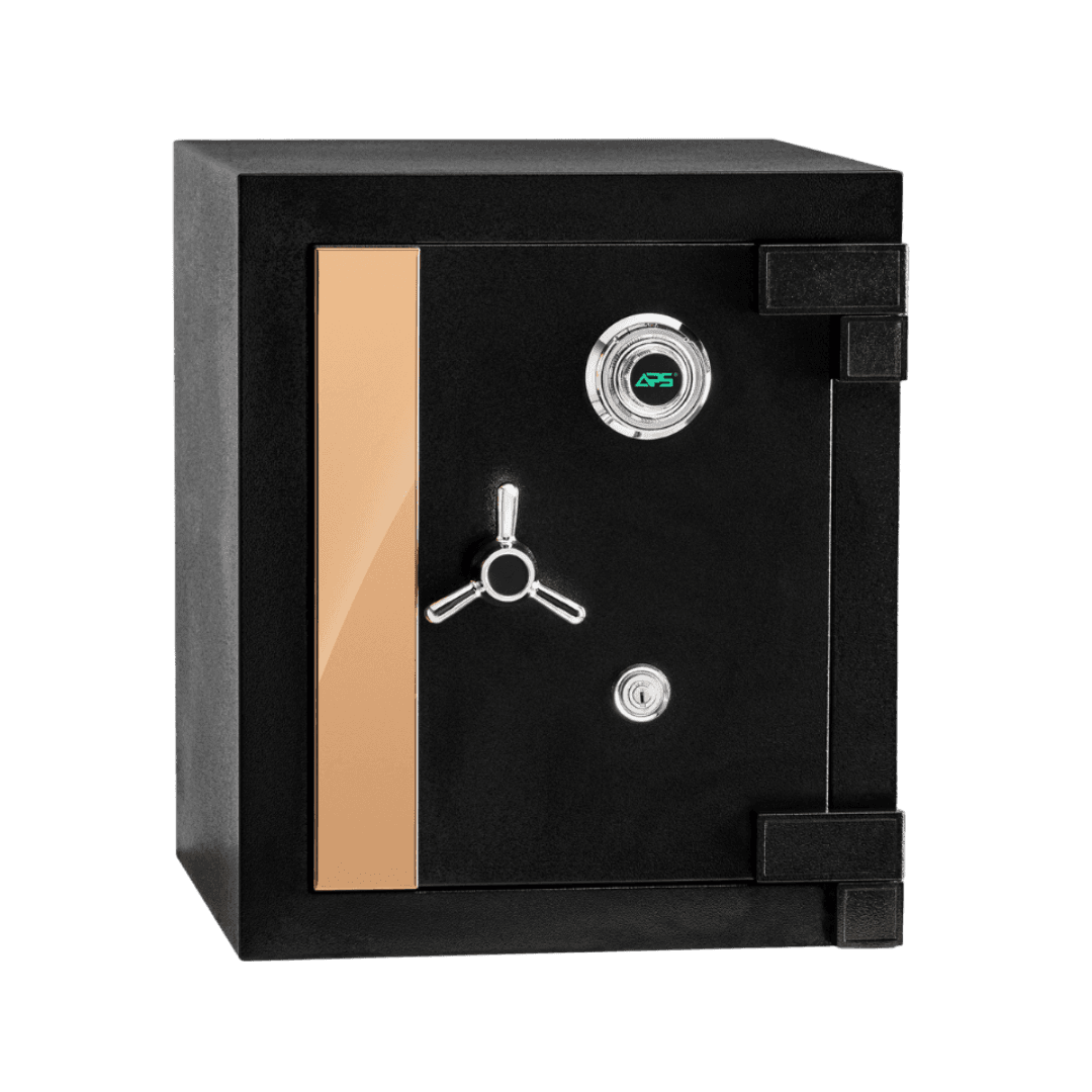 APS Home Safe SS 2