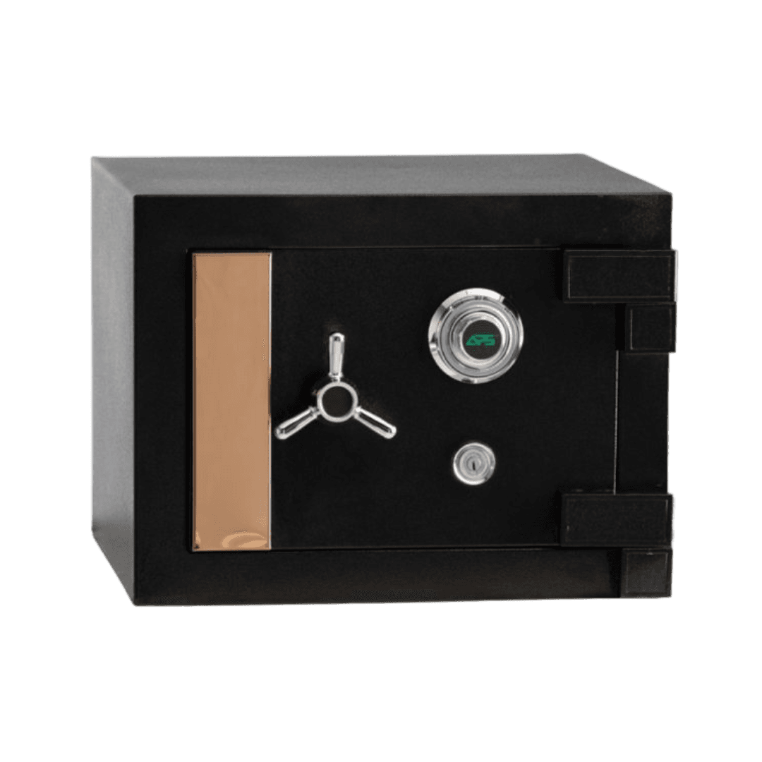 APS Home Safe SS 1